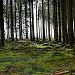 Treffpunkt Gruppenhaus Fuer 22 Personen Mit Grossem Aufenthaltsraum Und Kueche Holiday home *