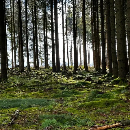 Treffpunkt Gruppenhaus Für 22 Personen Mit Großem Aufenthaltsraum Und Küche Сasa de vacaciones *