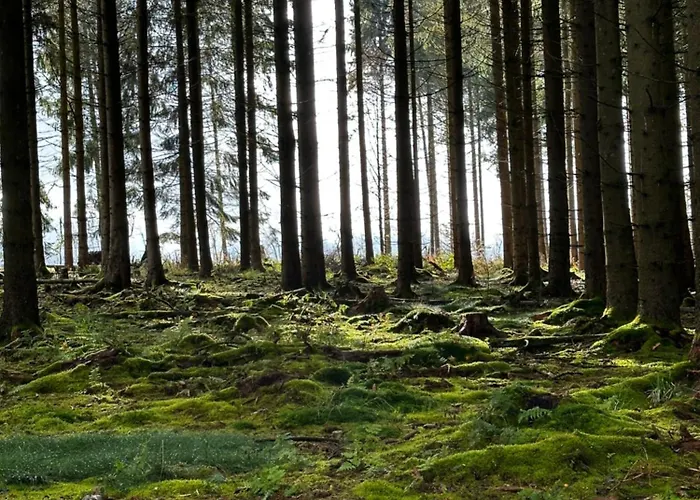 Treffpunkt Gruppenhaus Fuer 22 Personen Mit Grossem Aufenthaltsraum Und Kueche Holiday home *